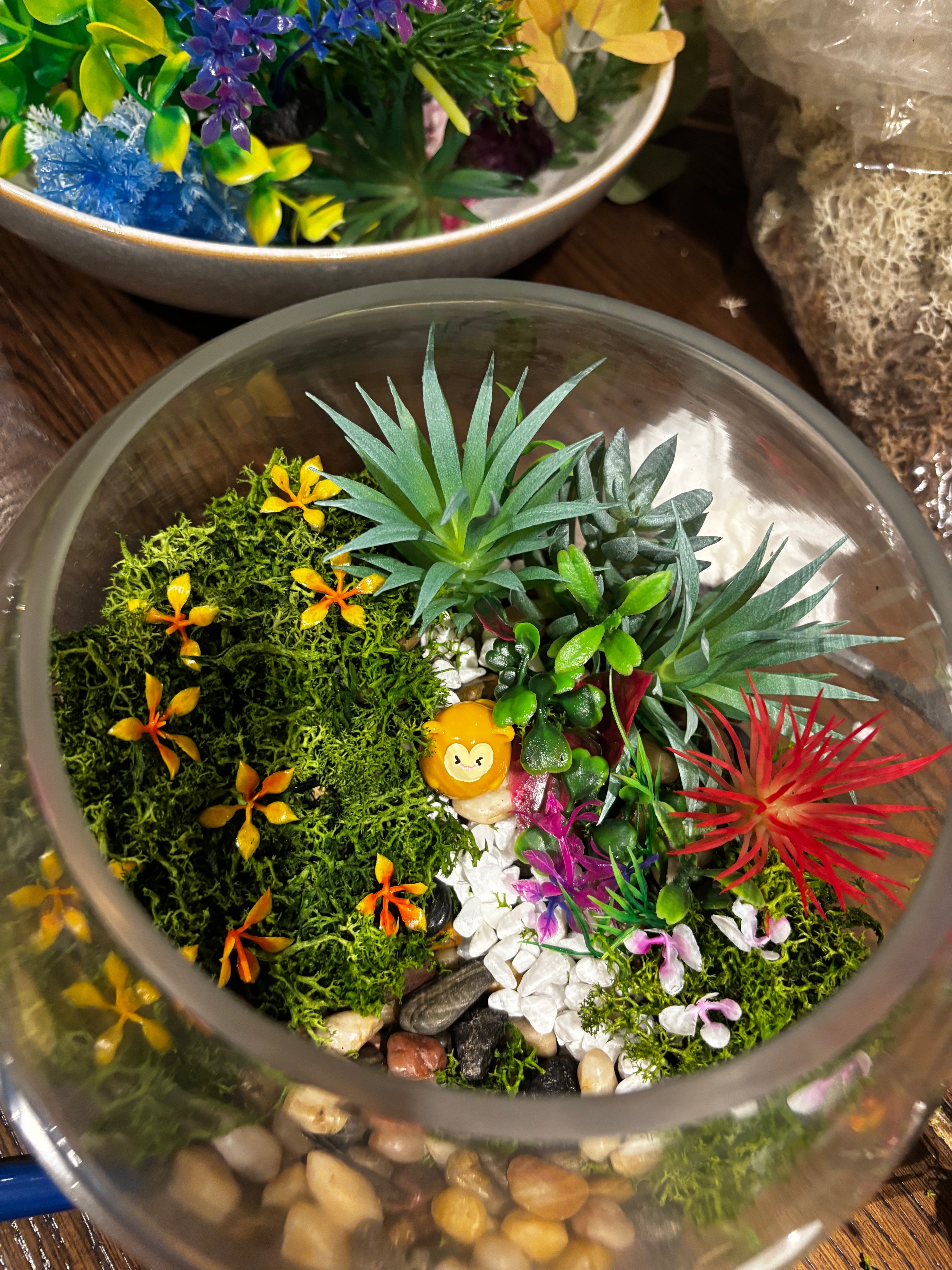 Terrarium Workshop