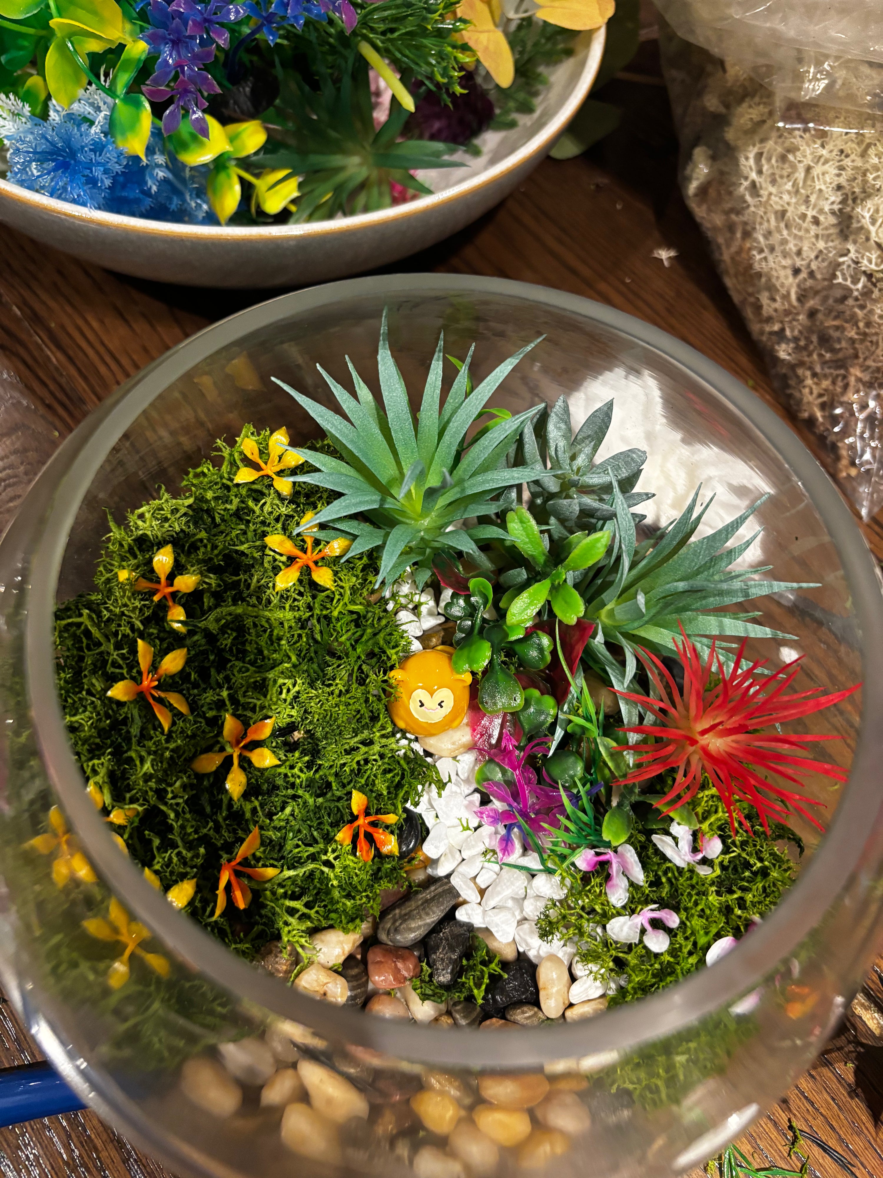 Terrarium Workshop