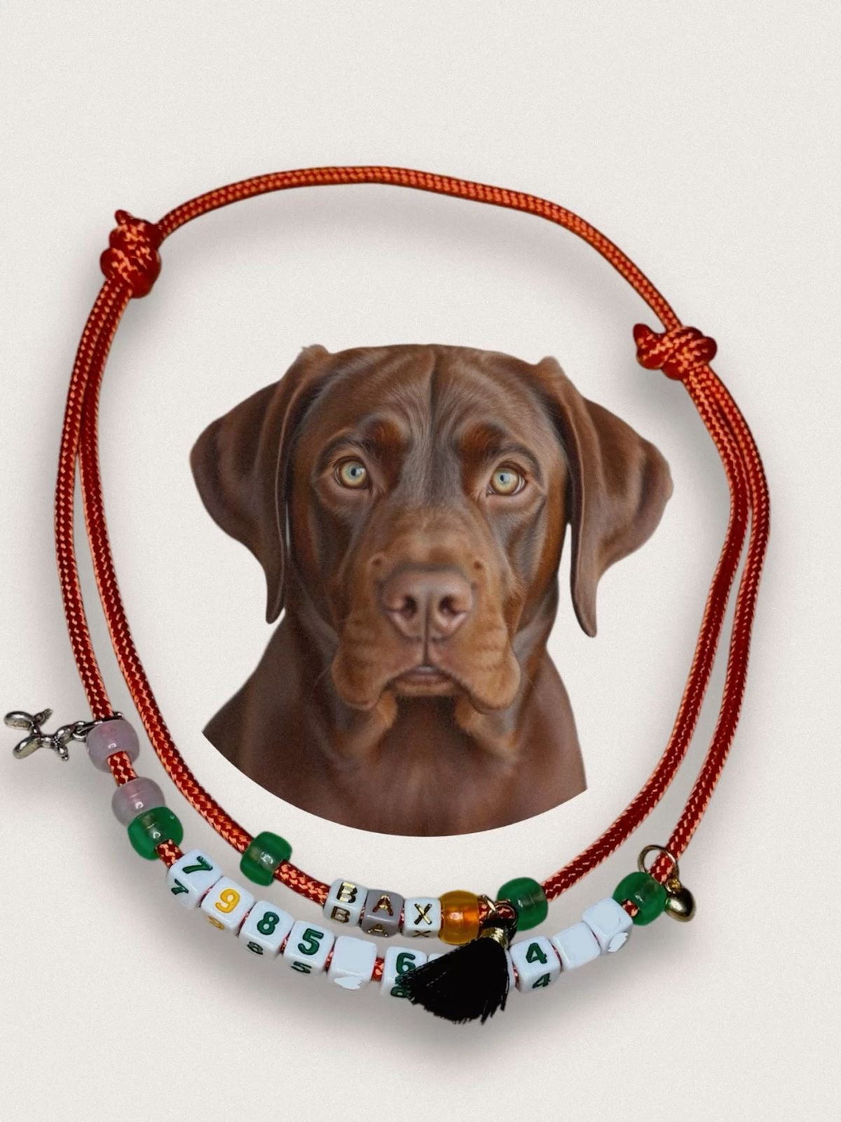 Beaded Jewellery for Pets Workshop