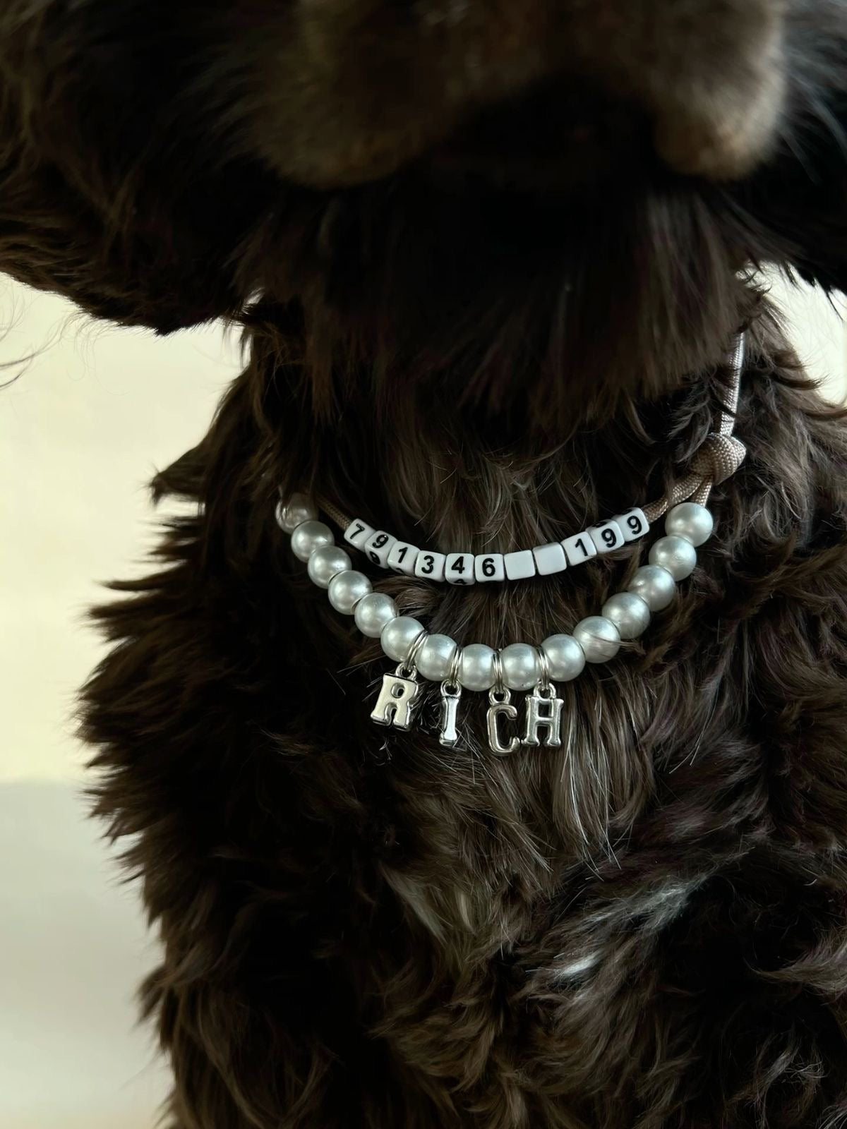 Beaded Jewellery for Pets Workshop