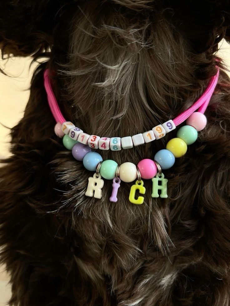 Beaded Jewellery for Pets Workshop