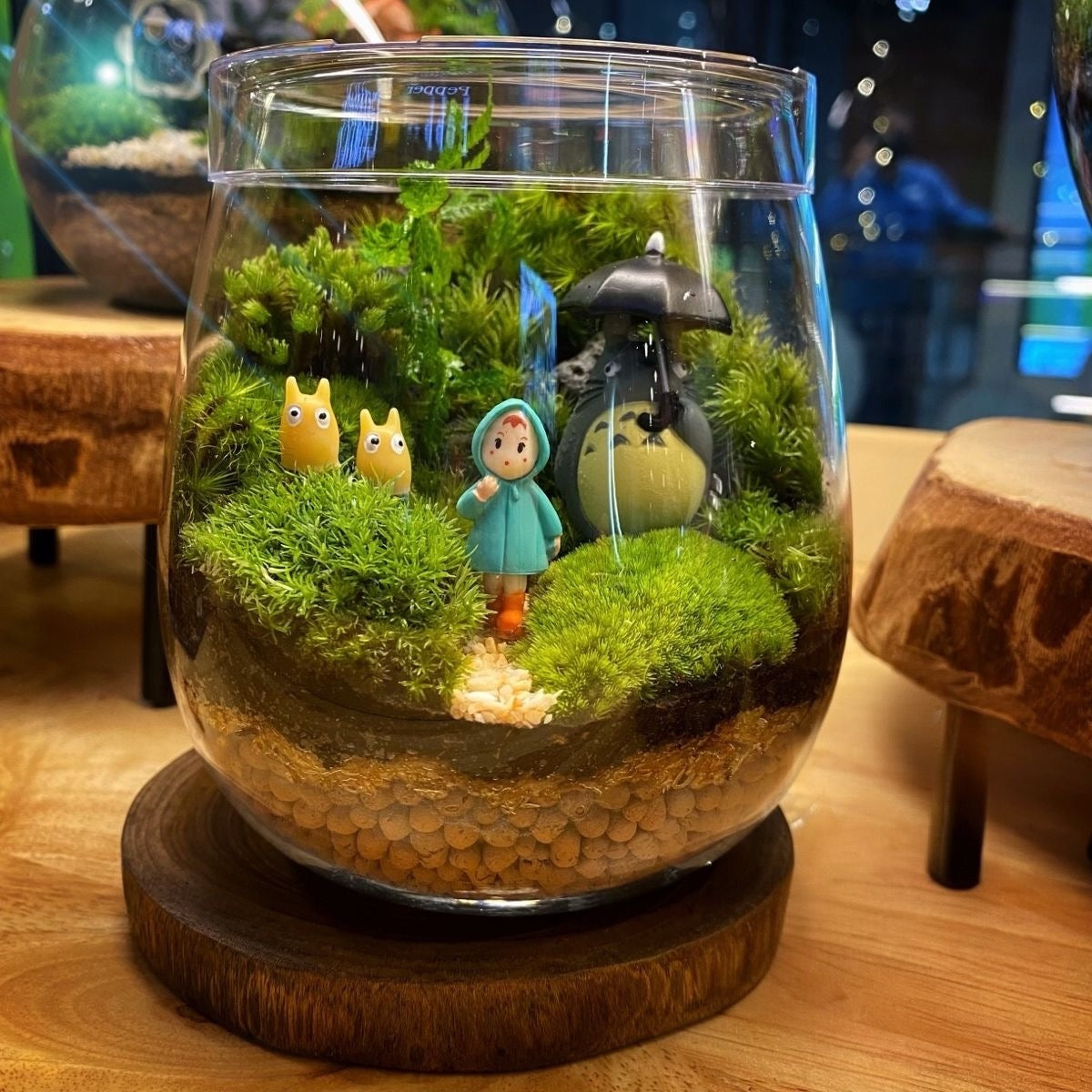 Terrarium Workshop