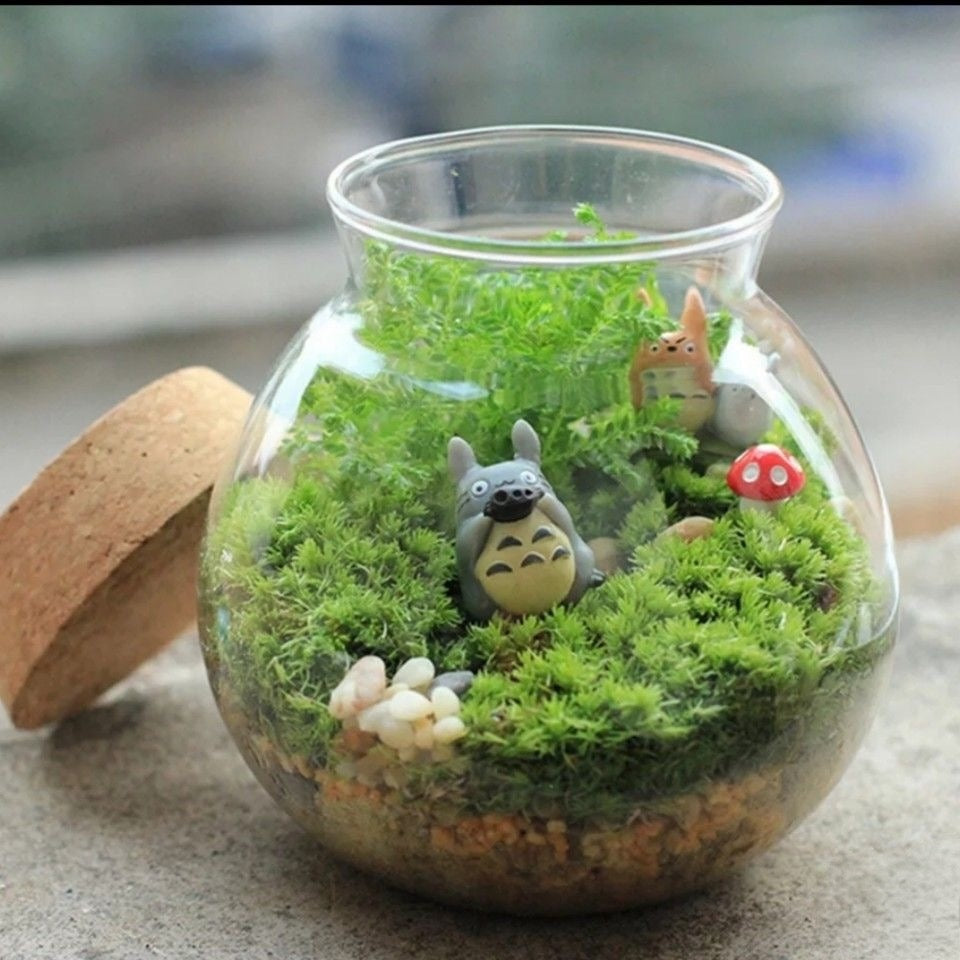 Terrarium Workshop