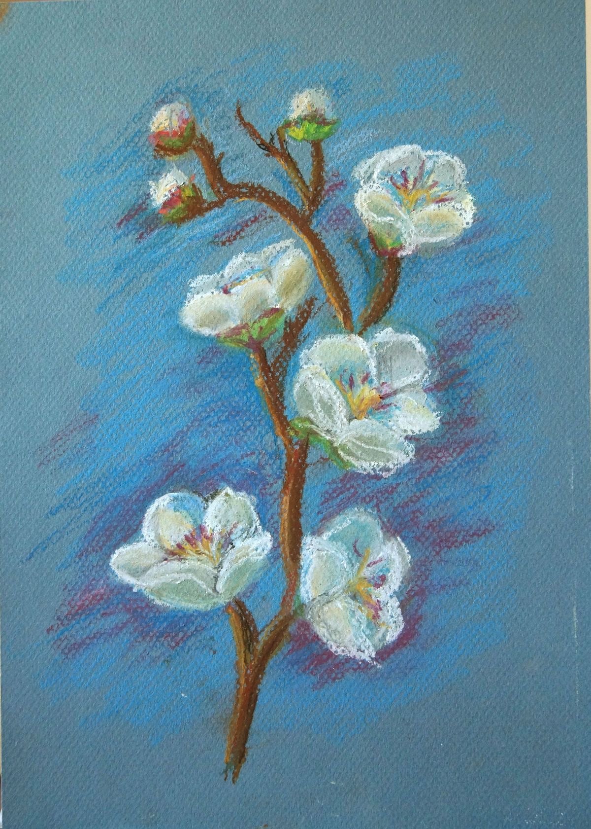 Pastel Painting Workshop