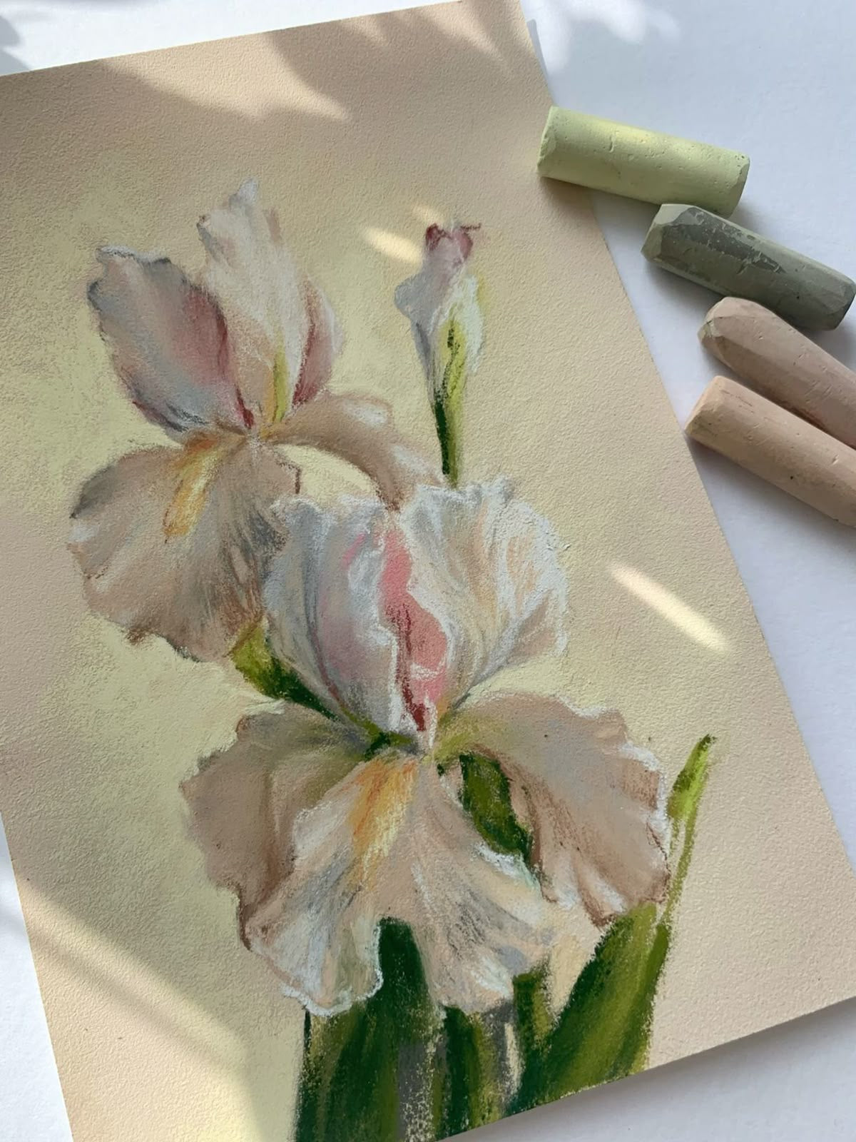 Pastel Painting Workshop